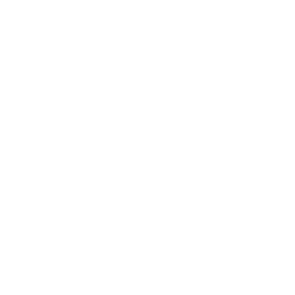 Care Portfolio Manager