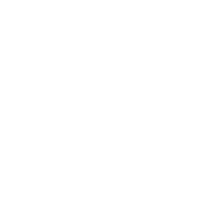 Finzy