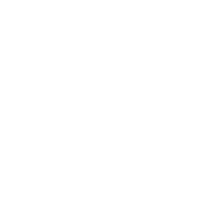 Services Export Promotion Council