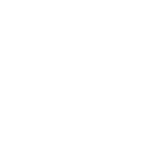 TATA AIA